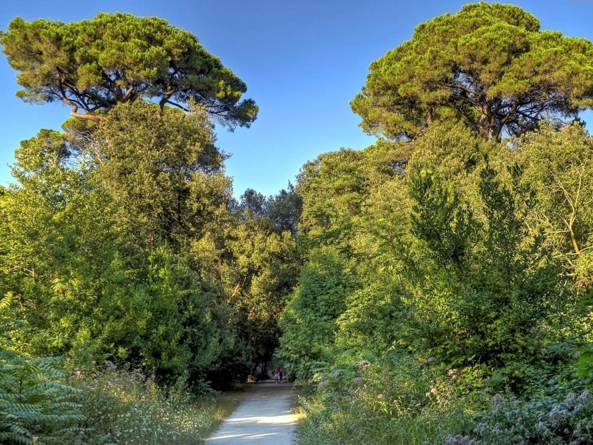 Appartamento Locazione Turistica Lungomare Viareggio Esterno foto